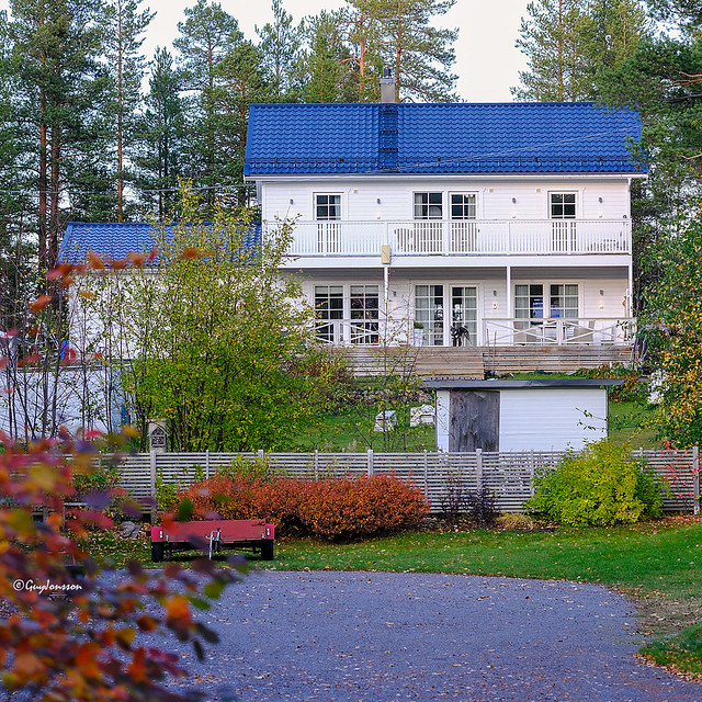 The house with the blue roof