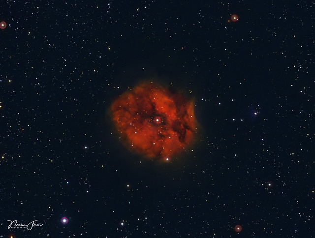 Cocoon Nebula (IC 5146) HSO