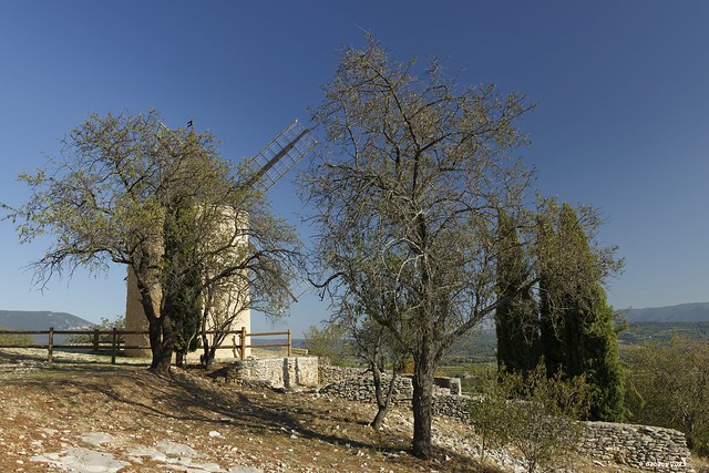 Windmühle im Luberon