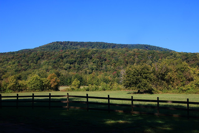 Early Autumn Color Starting to Show on Cave Mountain -  Boxley Valley, Northwest Arkansas