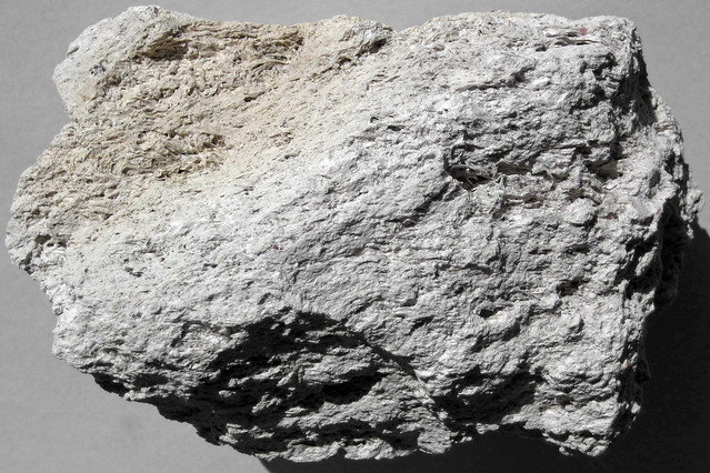 Rhyolitic pumice (El Cajete Pumice, Upper Pleistocene, 55-60 ka; Route 4 roadcut, Valles Caldera, New Mexico, USA) 9