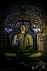 Seated Buddha 4379