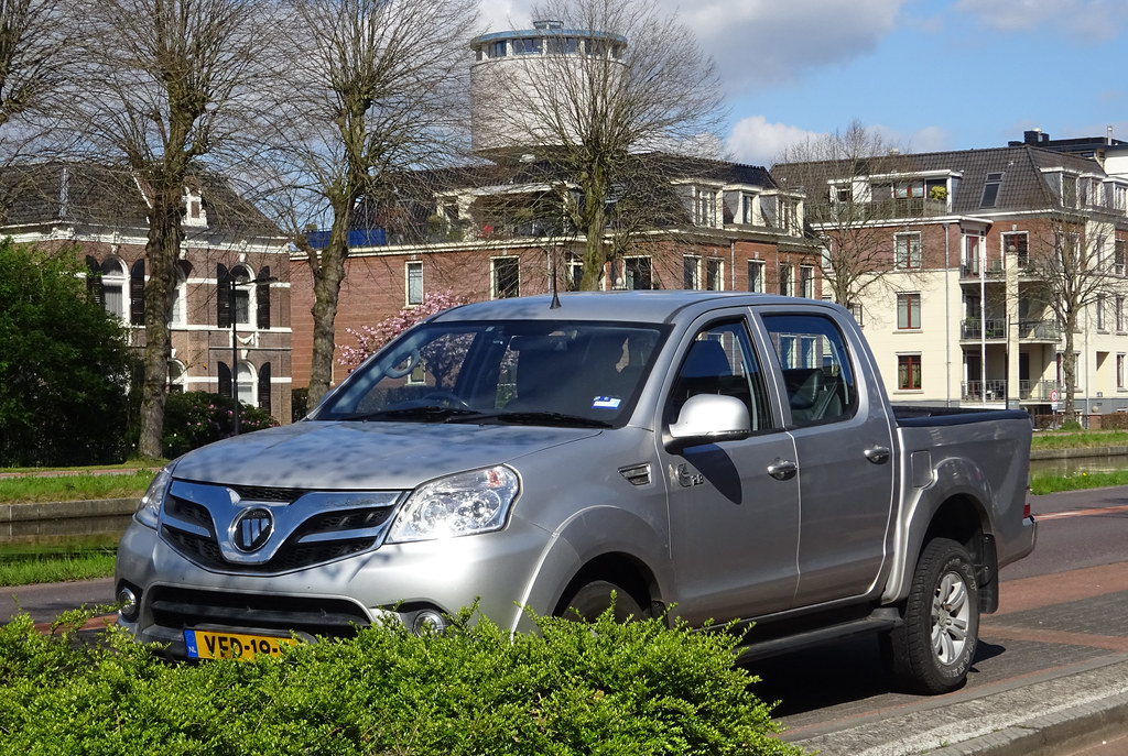 VFD19S: Foton Bison Savanna asobak