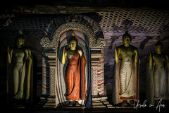 Row of Buddhas 4373