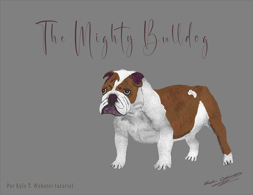 Image of a Bulldog drawing