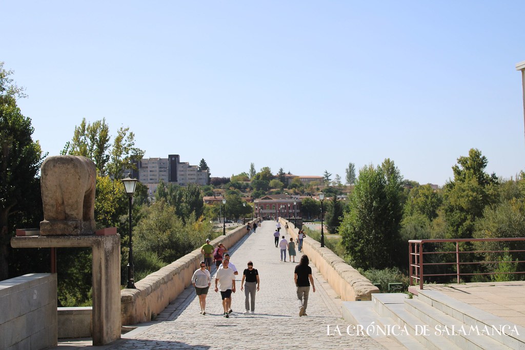 Turistas en el puente de El Pilar, Salamanca.  (18)