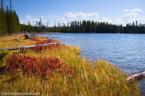 Along the shore of Ice Lake, Yellowstone National Park, Wyoming