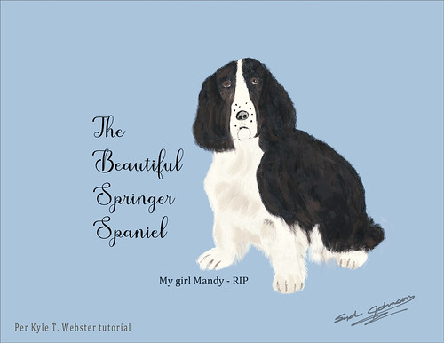 Drawing of a Springer Spaniel