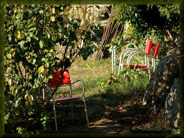 As cadeiras vermelhas numa horta doméstica