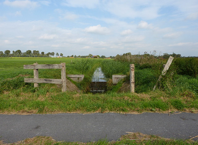 Landscape in Meddo - Winterswijk