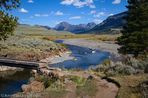 The Lamar River winds through the Lamar Valley in the northwestern region of Yellowstone National Park, Wyoming