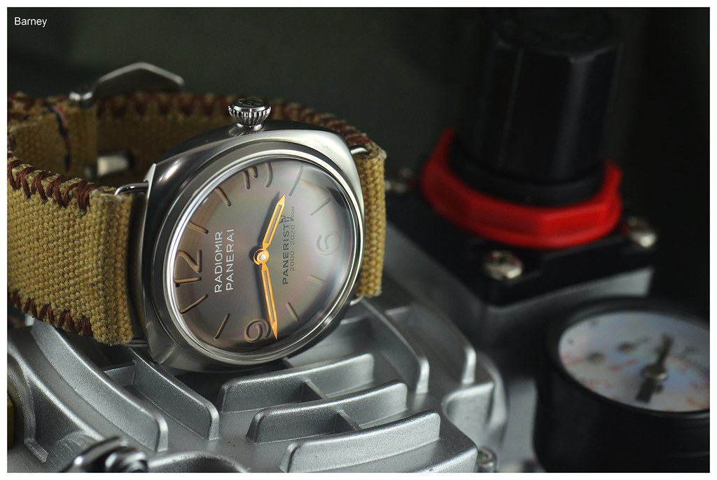 La Panerai du jour - Tome XI - Page 9 53255588045_eec73e084b_b