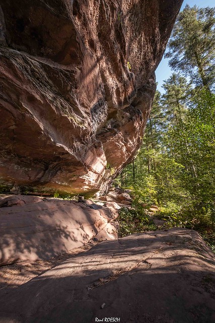 The impressive rocks of the forest of DABO - Les impressionnants rochers en grès dans la forêt de Dabo - Massif des Vosges - Moselle - France