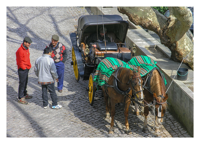 Drivers & horse cart