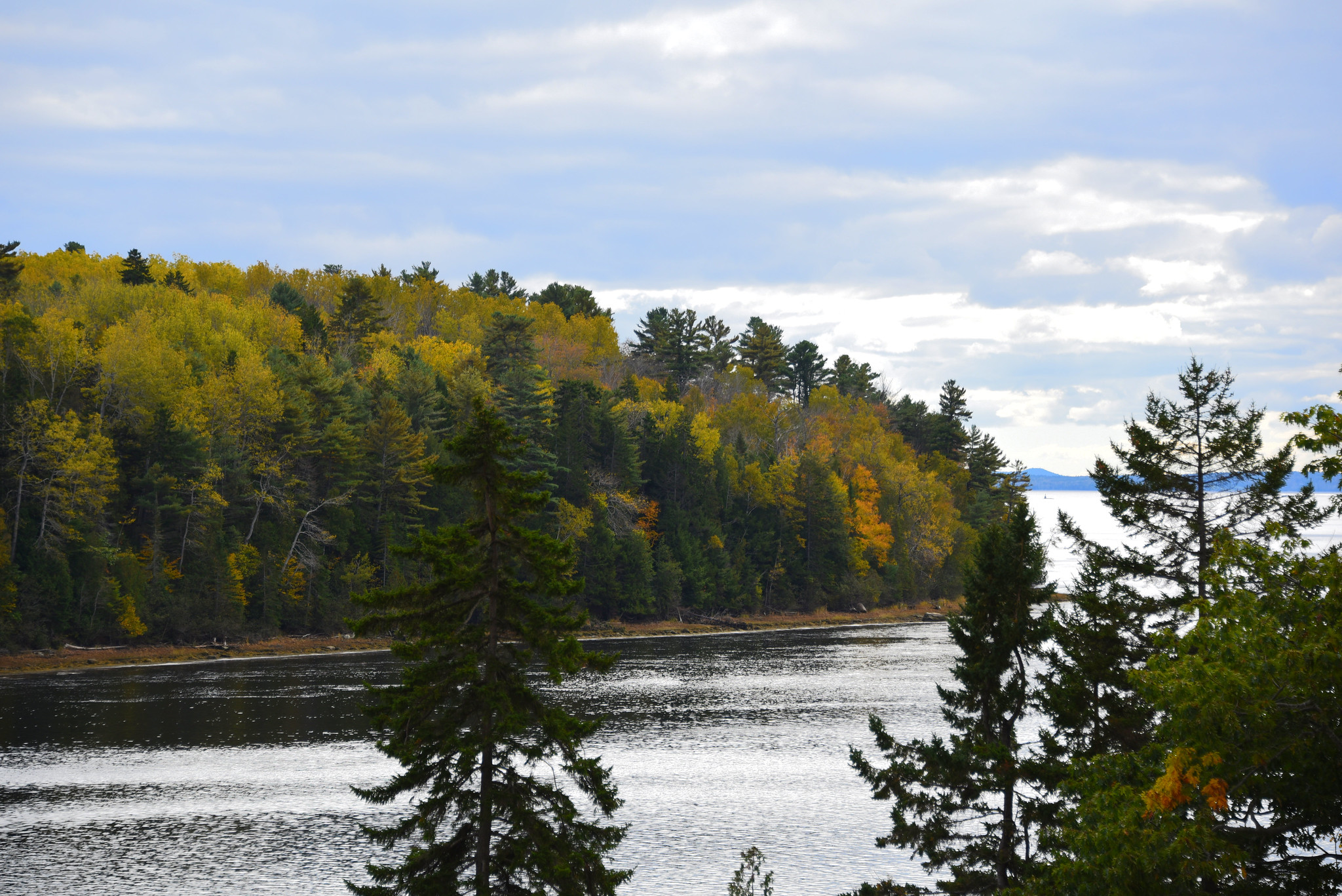 Starting to see some colour in the trees at  Penobscot Narrows Bridge and Observatory