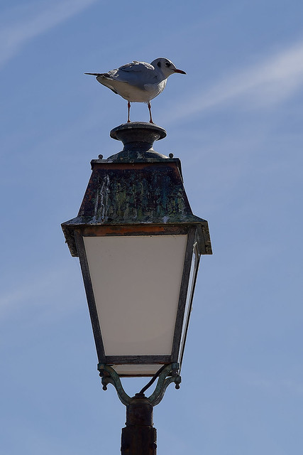Street lamp in Deauville ...