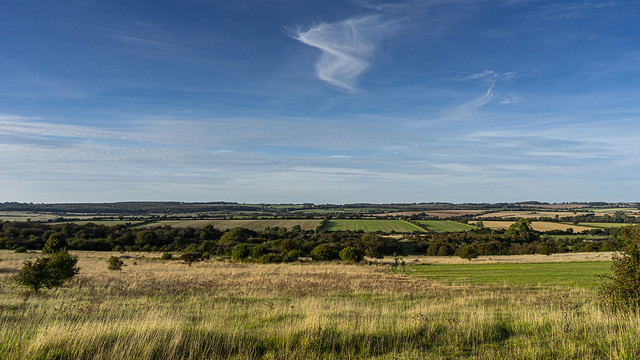 a view down from Martin Down