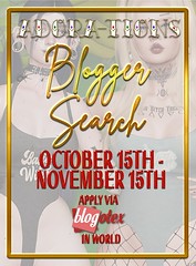 Adora-tions - Blogger Search! October through November 15th