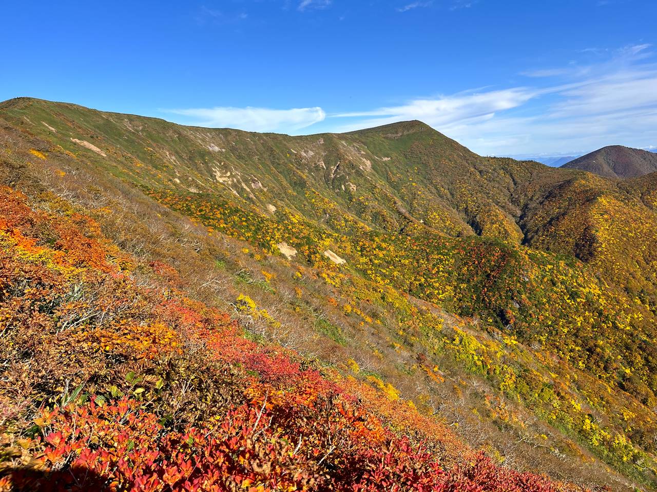 不忘山～蔵王連峰縦走登山 水引入道の圧巻の紅葉風景