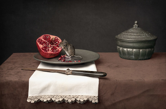 Still-life with pomegranate and mouse