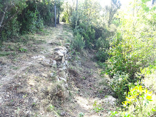 L'embranchement du sentier annexe de carbunara sur le chemin du Carciara aval (HR21)