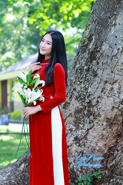 Under the morning sunlight and the ancient tree, a graceful beauty dons a vibrant red traditional Vietnamese dress, her raven hair cascading as she cradles a bouquet of pristine Calla Lily flowers.