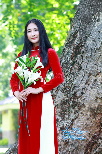 Under the morning sunlight and the ancient tree, a graceful beauty dons a vibrant red traditional Vietnamese dress, her raven hair cascading as she cradles a bouquet of pristine Calla Lily flowers.