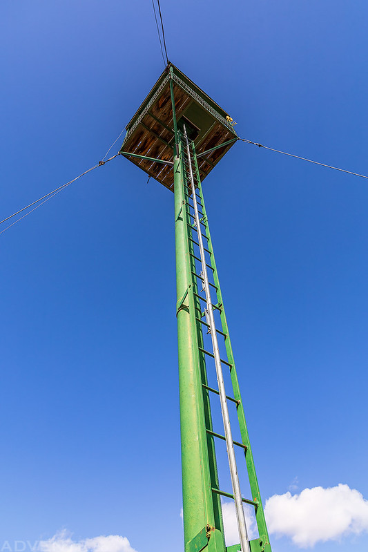 Chapin Mesa Fire Lookout Ladder