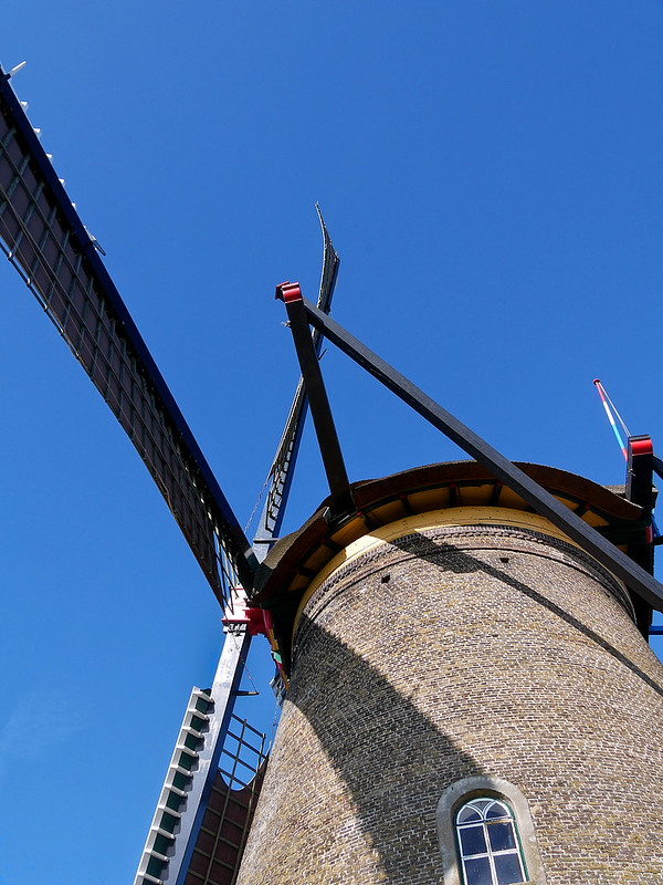 Les moulins de Kinderdijk près de Rotterdam + ajouts 53261764957_a3415d1afa_c