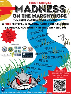 Poster advertising Madness on the Marsheyhope invasive catfish tournament