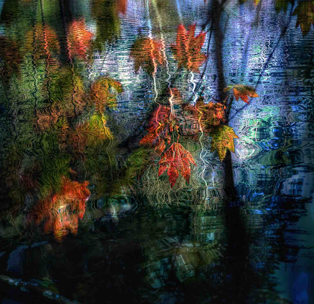 Double Exposure - Fall Colours and Ripples