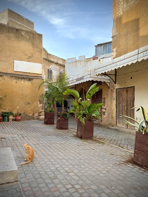 El Jadida, Morocco 🇲🇦