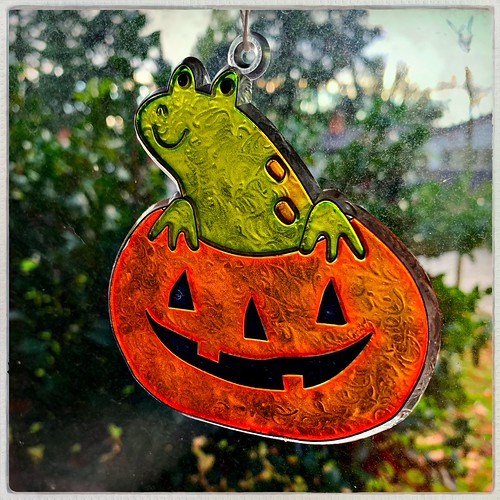 Frog and Jack-O-Lantern Halloween Sun Catcher