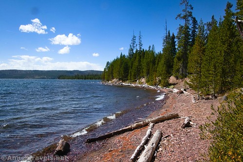 The lakeshore of Lewis Lake, Lewis River Channel Trail, Yellowstone National Park, Wyoming