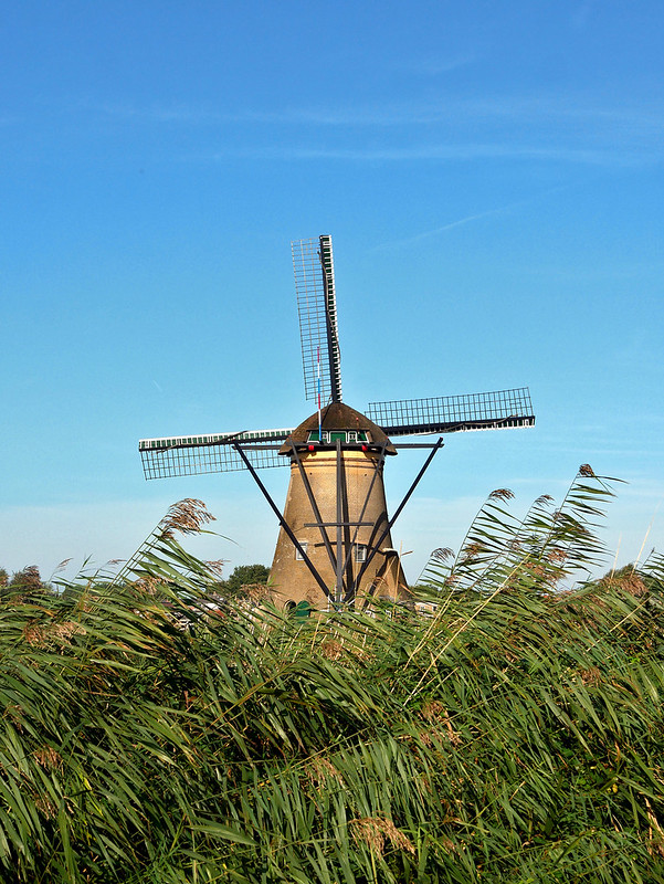 Les moulins de Kinderdijk près de Rotterdam + ajouts 53262936983_02d280db75_c