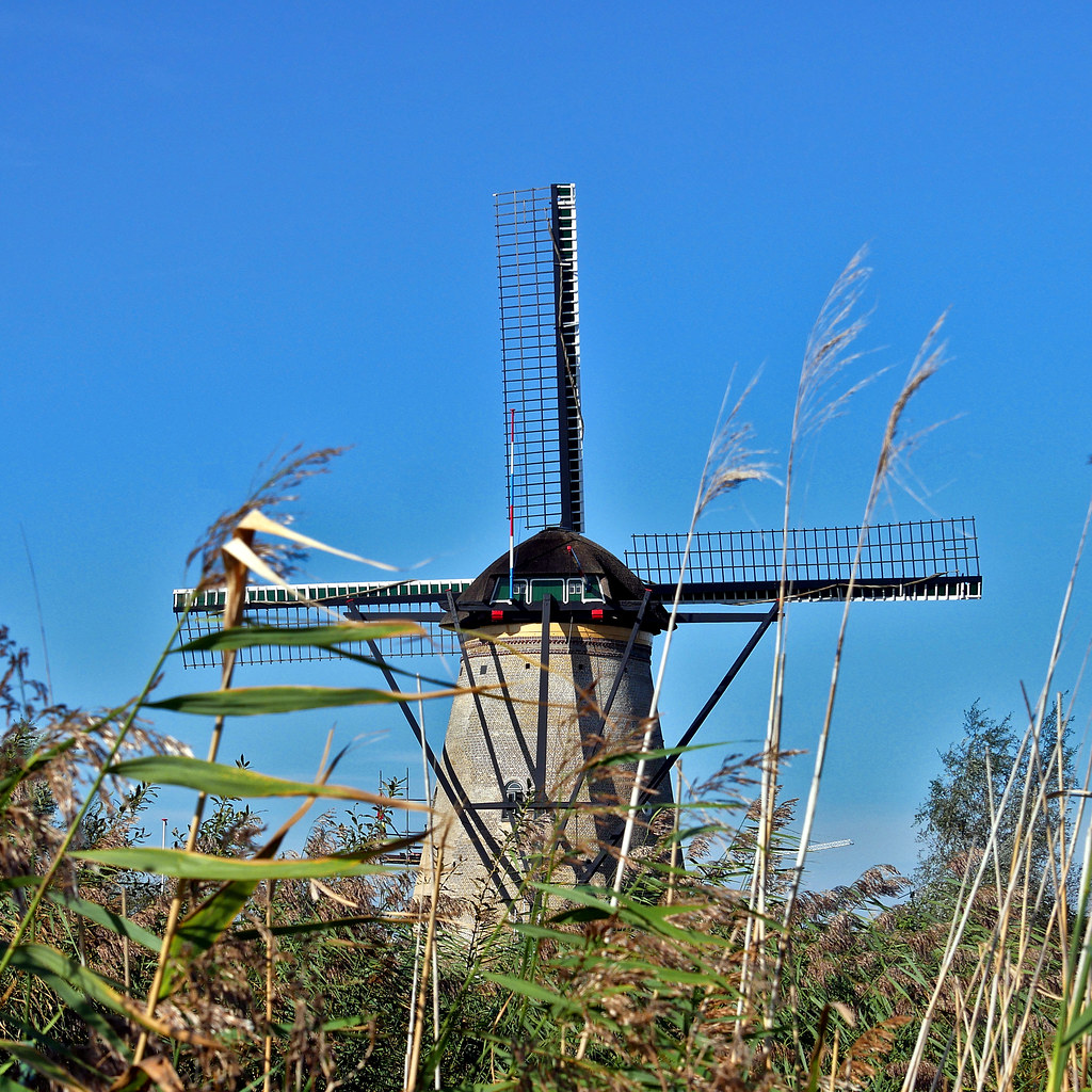 Les moulins de Kinderdijk près de Rotterdam + ajouts 53262993729_74501a4f35_b