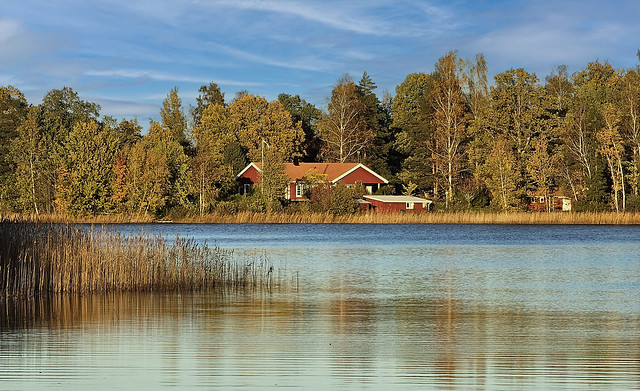 Sjönära boende, höstsol, höstlöv, sjön Tisnaren, Östergötland, 2023-10-16