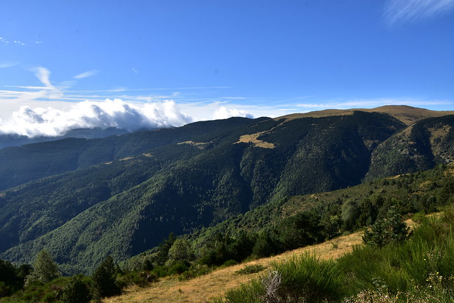Muntanyes de Tregurà, Vilallonga de Ter.