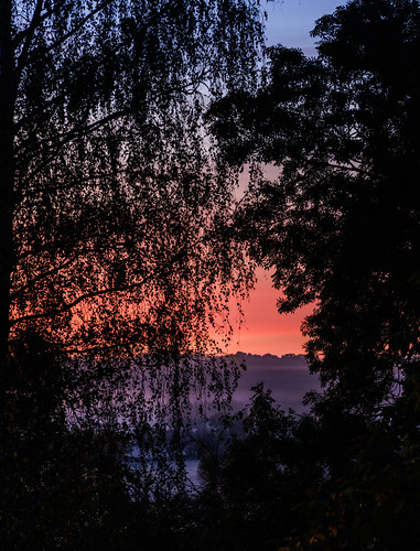 Composing of a Misty Blue Hour Sunrise by #hliphotography, sunrise bluehour blue mystic misty haze tree nature composing capture eosr5 canon catchy rf24105mmf4