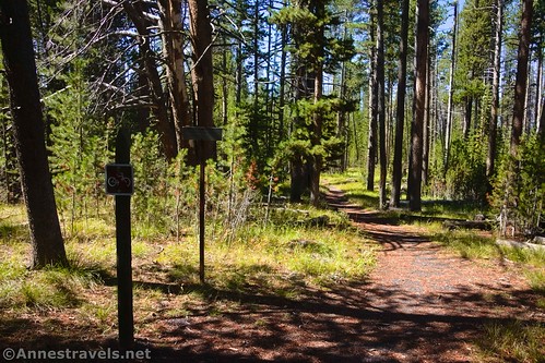 The beginning of the Lewis River Channel Trail, Yellowstone National Park, Wyoming