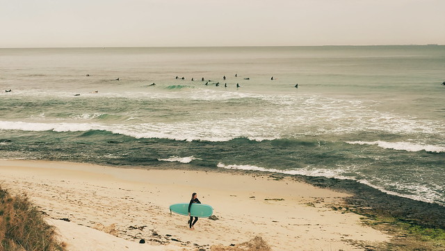 North beach surfers 5-studio