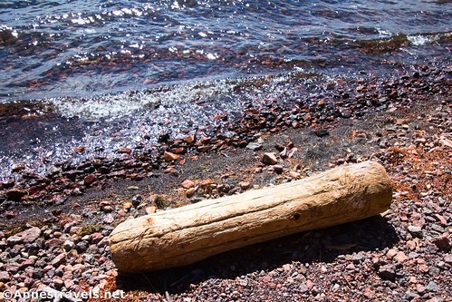 A piece of driftwood on the shore of Lewis Lake