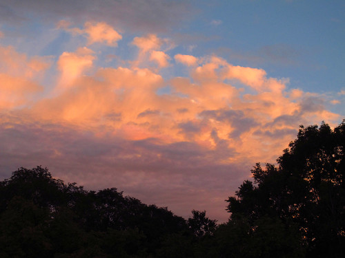 canonpowershotg12 cloud clouds redcloud redclouds sunset sundown evening eveningsky tree trees silhouette hokkaidouniversity hokudai sapporo hokkaido japan gimp 雲 赤い雲 日没 日の入り 夕方 夕刻 夕方の空 木 シルエット 北海道大学 北大 札幌 北海道 日本