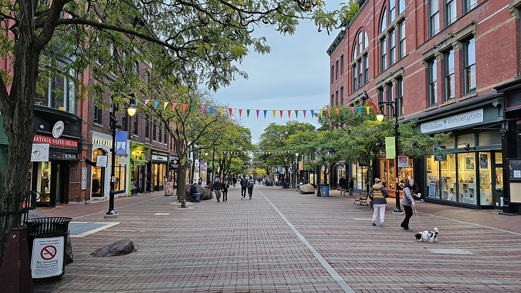 The pedestrian area in Burlington