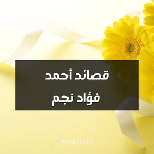 قصائد أحمد فؤاد نجم أشعار أحمد فؤاد نجم الشاعر أحمد فؤاد نجم