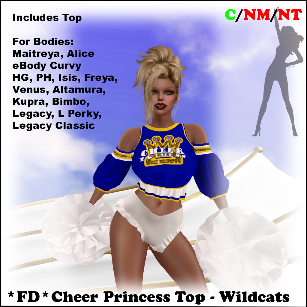 *Fancy Dancer* Cheer Princess Top Wildcats