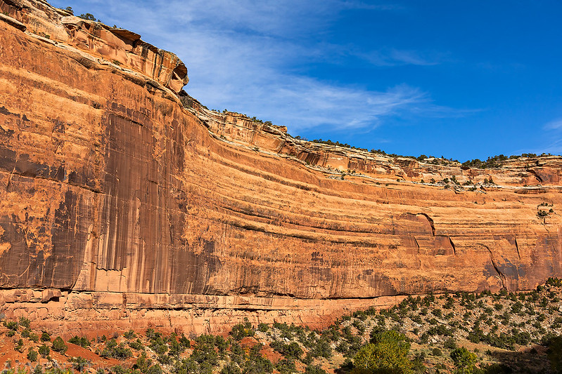 Ute Canyon Wall