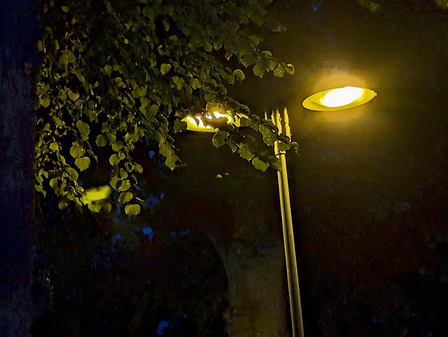 Lamp Wednesday / Lampen Mittwoch