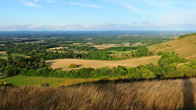 Looking out over The Weald