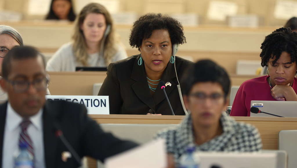 Human Rights Committee Work U.S. Presentation to the UN Human Rights Committee | Flickr
